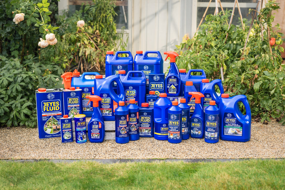 All Products
