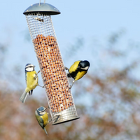 Bird feeders