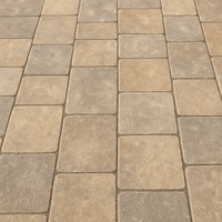Patio and Paths